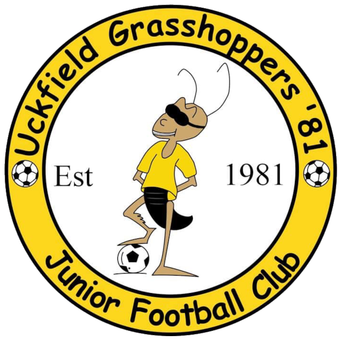 Sussex Sixes - Mixed/Boys Tournament